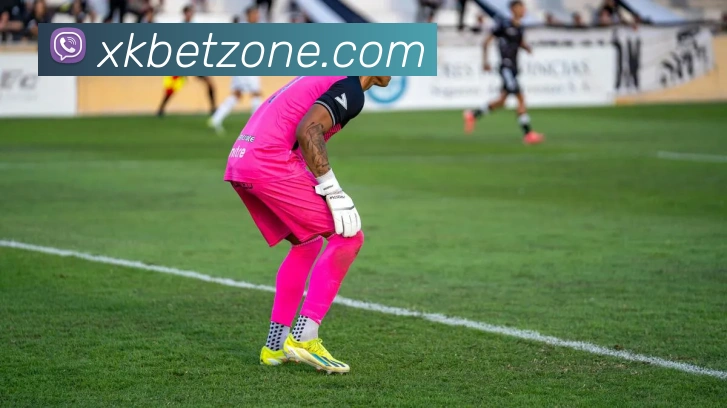 星空体育服务体系